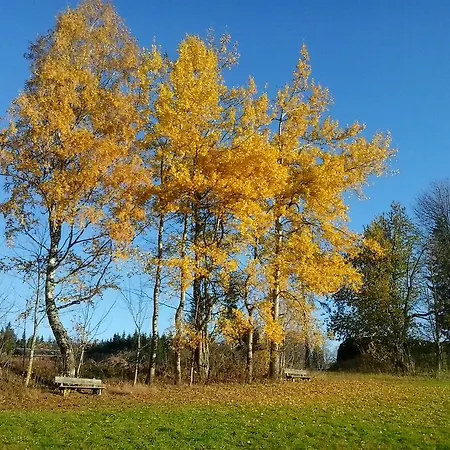 Готель типу 