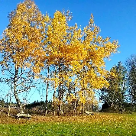 Felsenheim Bed & Breakfast