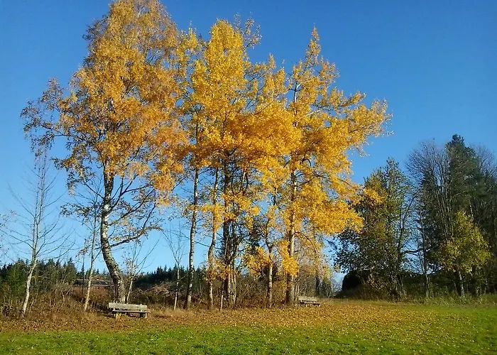 Bed & Breakfast Felsenheim